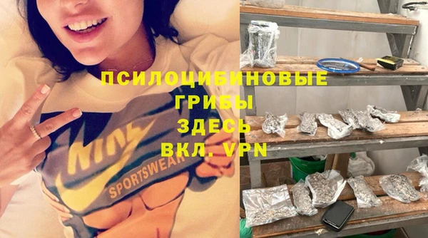 ПСИЛОЦИБИНОВЫЕ ГРИБЫ Армянск
