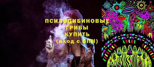 ПСИЛОЦИБИНОВЫЕ ГРИБЫ Армянск